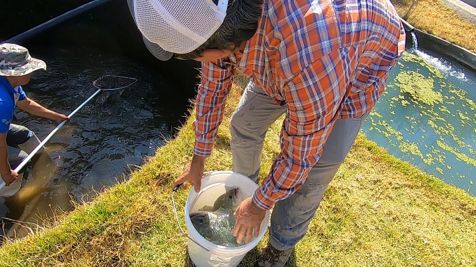 Captura de pantalla (745).png